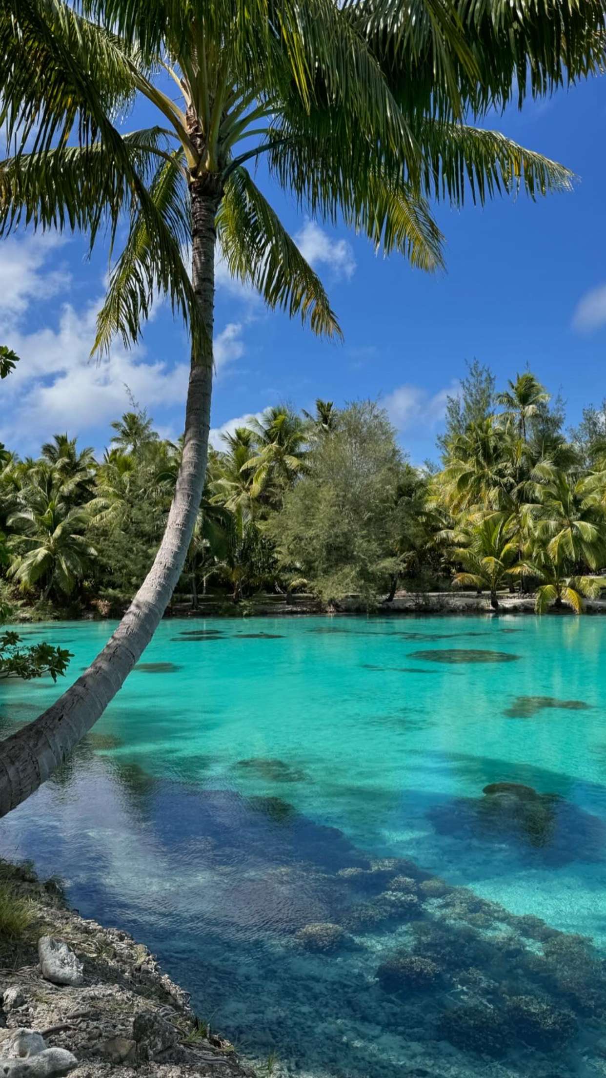 emilyelizabbeth snapchat image archive image