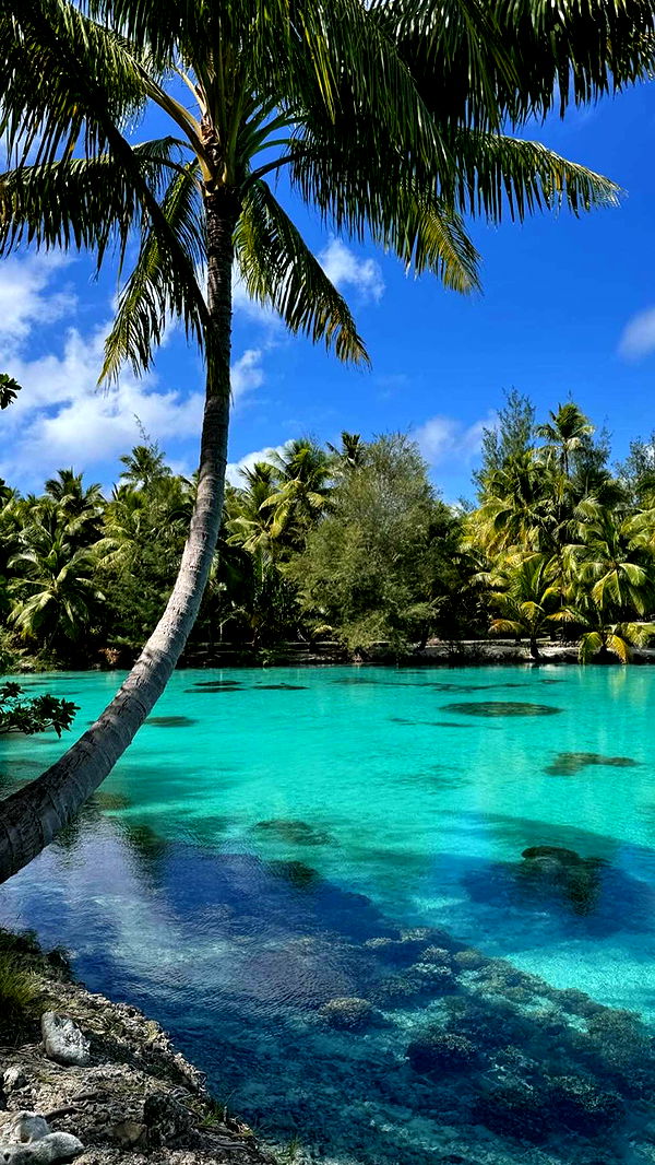 emilyelizabbeth image ~ Altpins