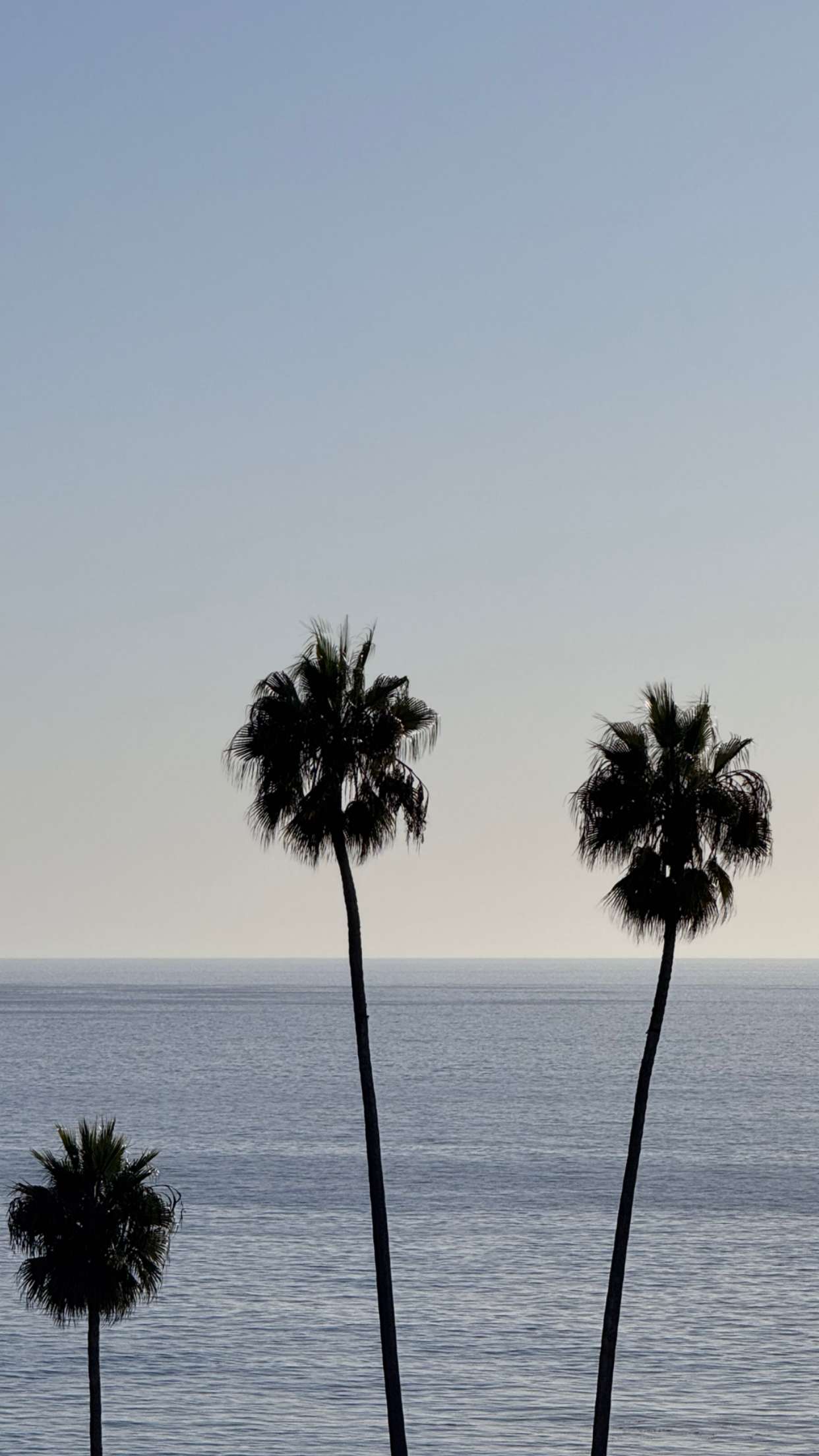 emilyelizabbeth snapchat image archive image