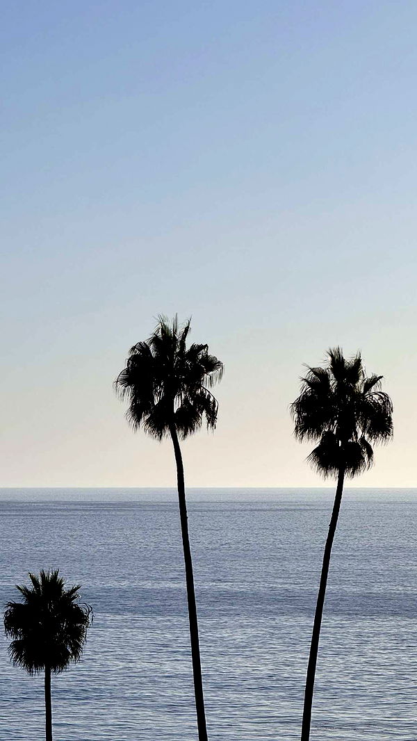 emilyelizabbeth image ~ Altpins