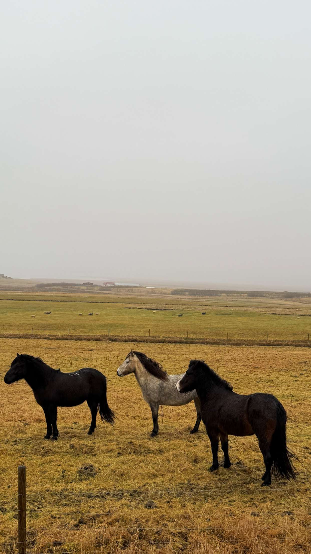 emilyelizabbeth snapchat image archive image