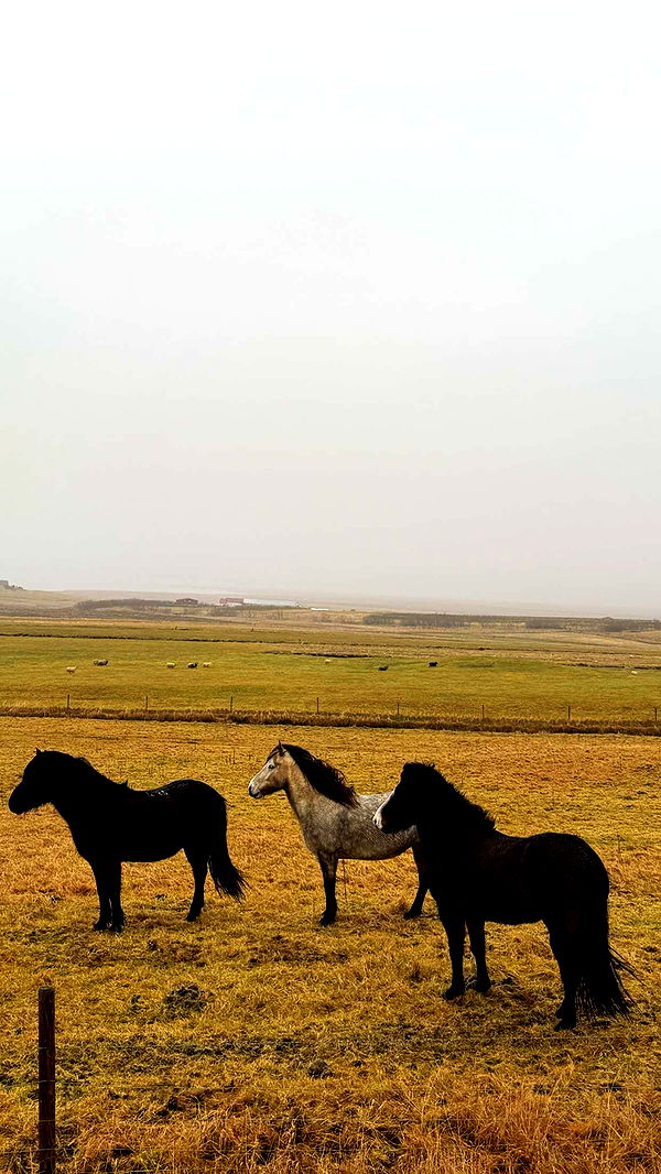 emilyelizabbeth image ~ Altpins