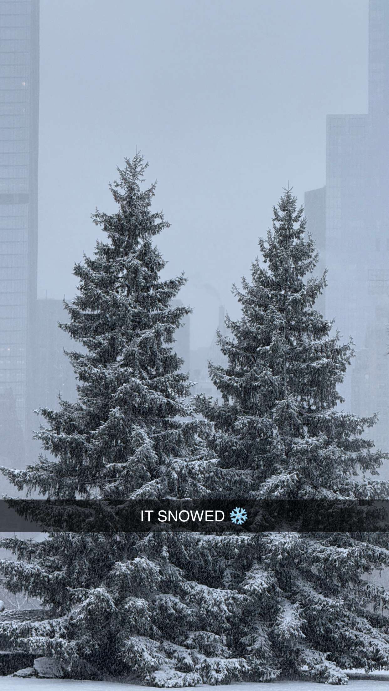 emilyelizabbeth snapchat image archive image