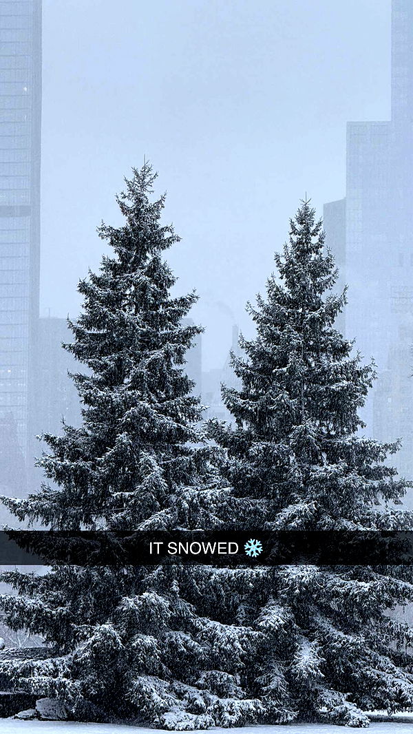 emilyelizabbeth image ~ Altpins