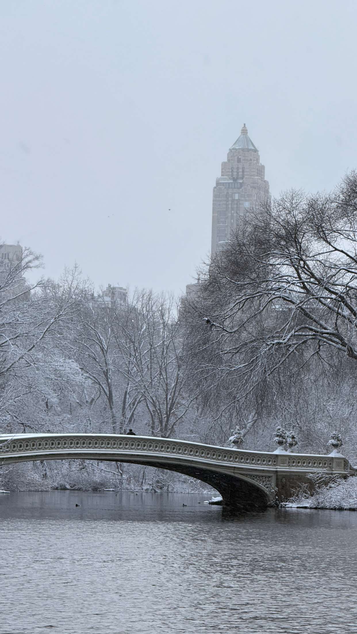 emilyelizabbeth snapchat image archive image