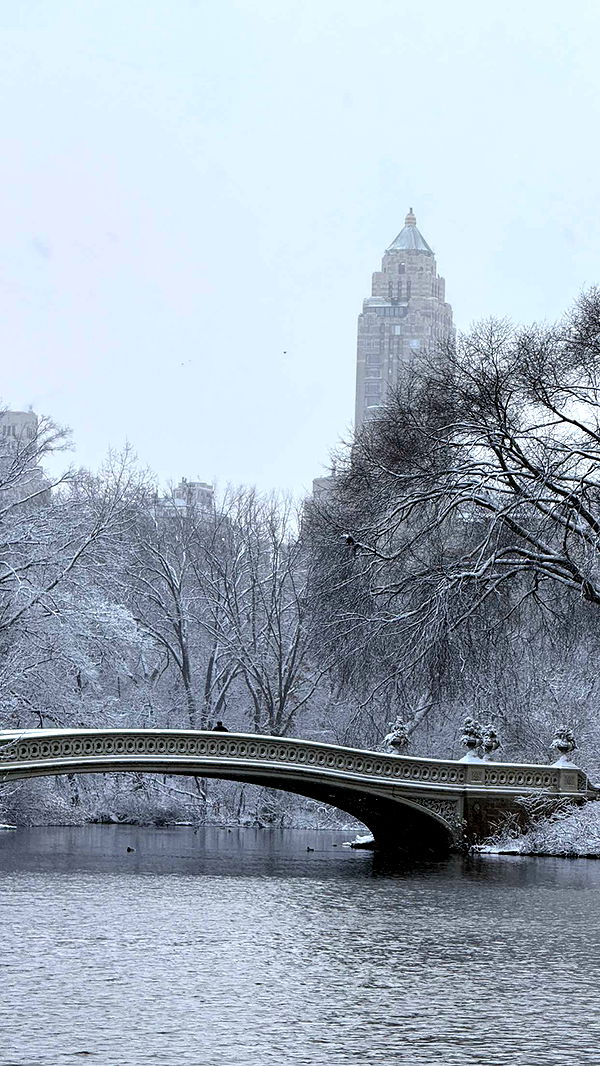 emilyelizabbeth image ~ Altpins