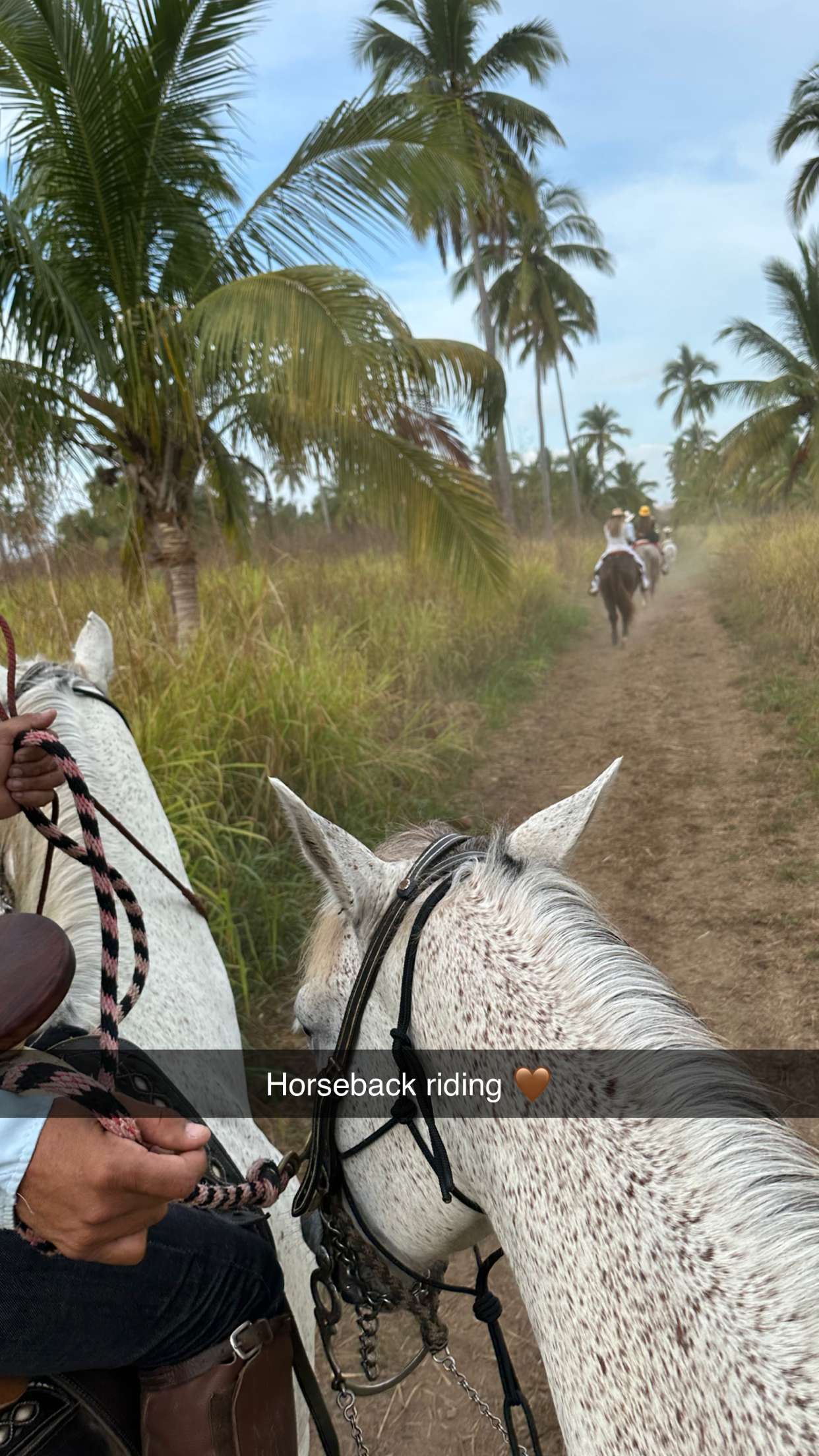 emilyelizabbeth snapchat image archive image