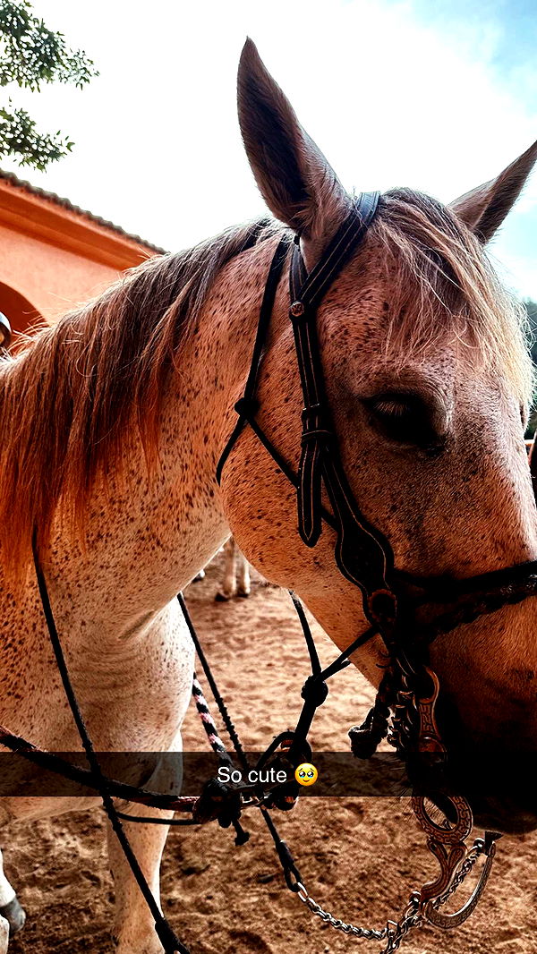 emilyelizabbeth image ~ Altpins