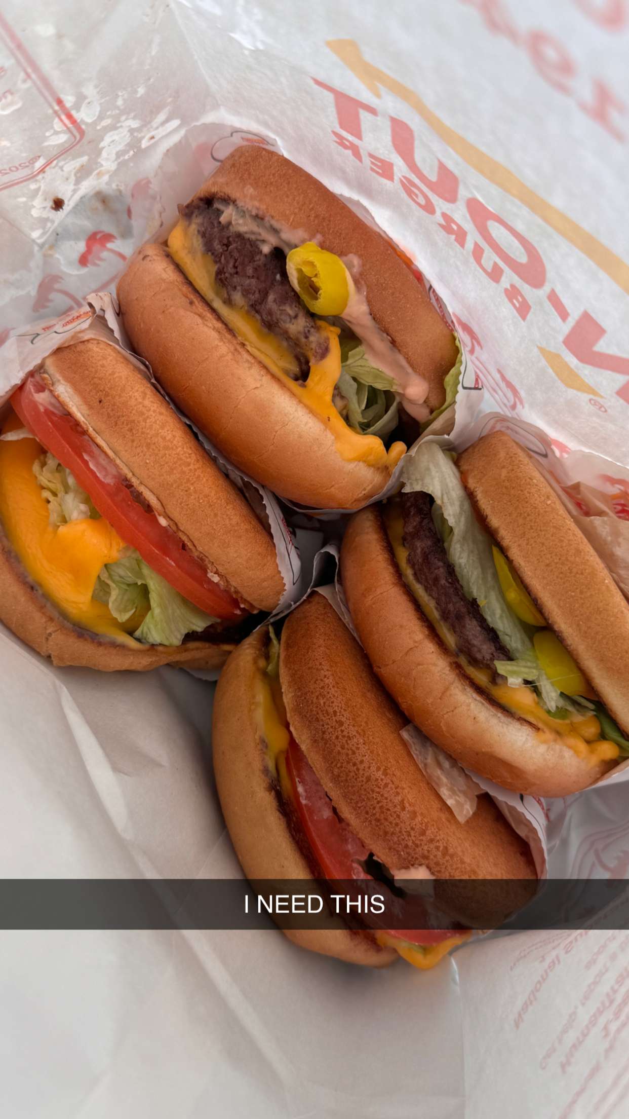 emilyelizabbeth snapchat image archive image