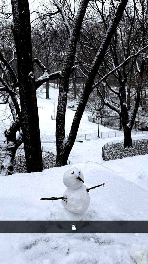 emilyelizabbeth image ~ Altpins