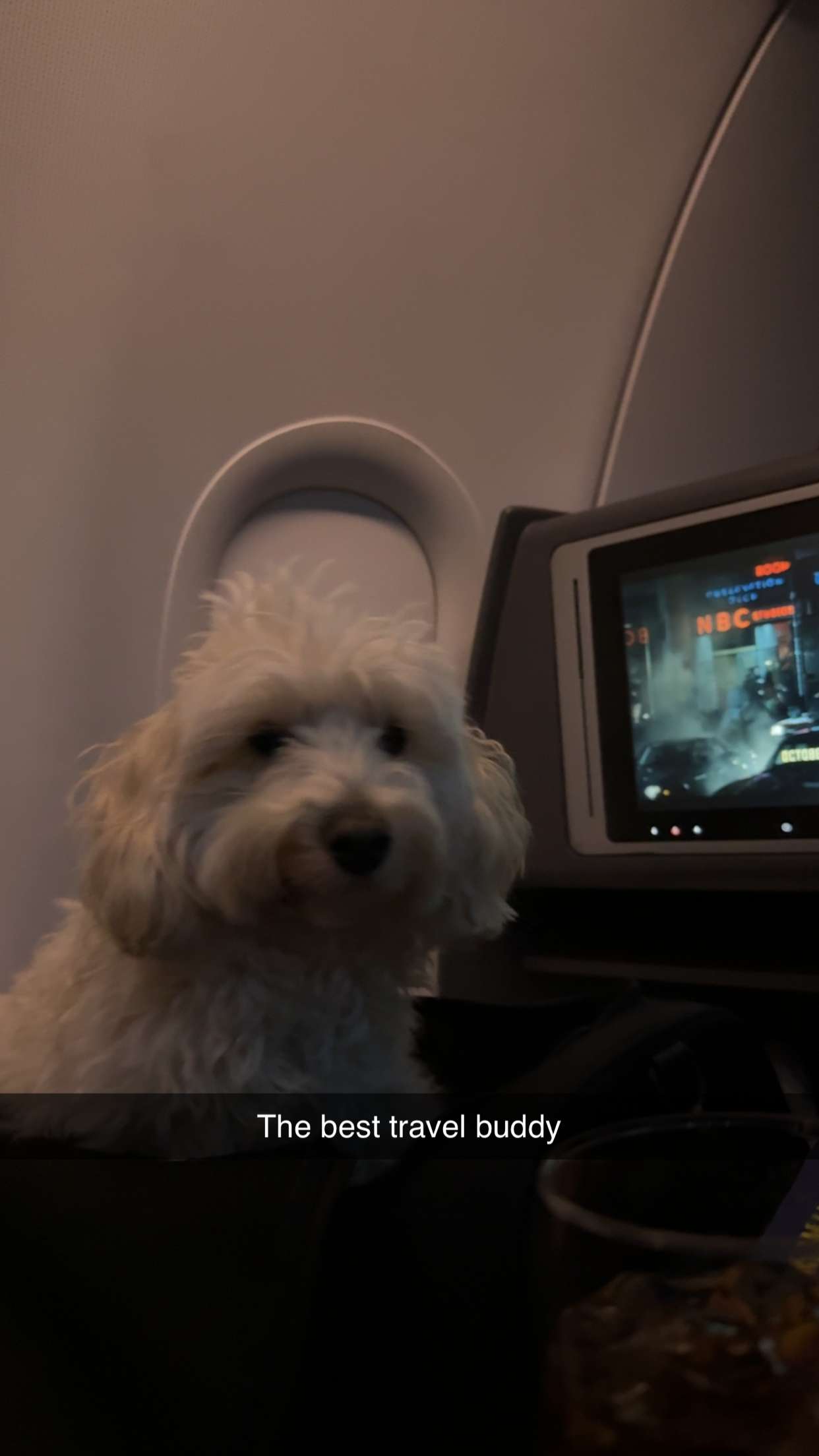 emilyelizabbeth snapchat image archive image