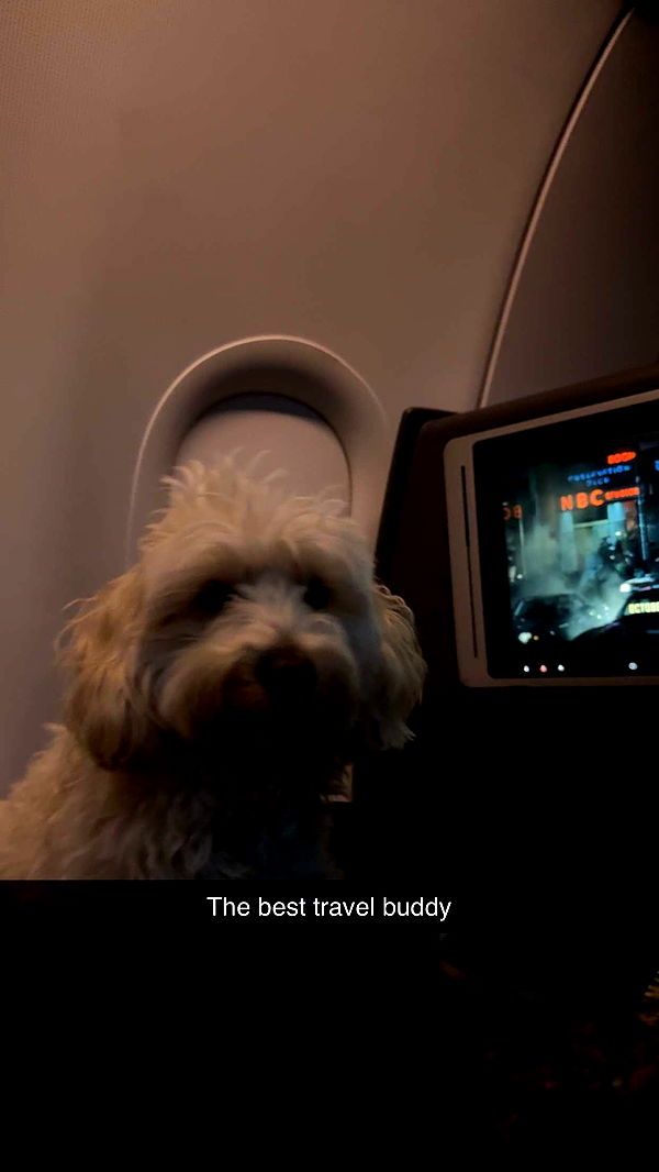 emilyelizabbeth image ~ Altpins