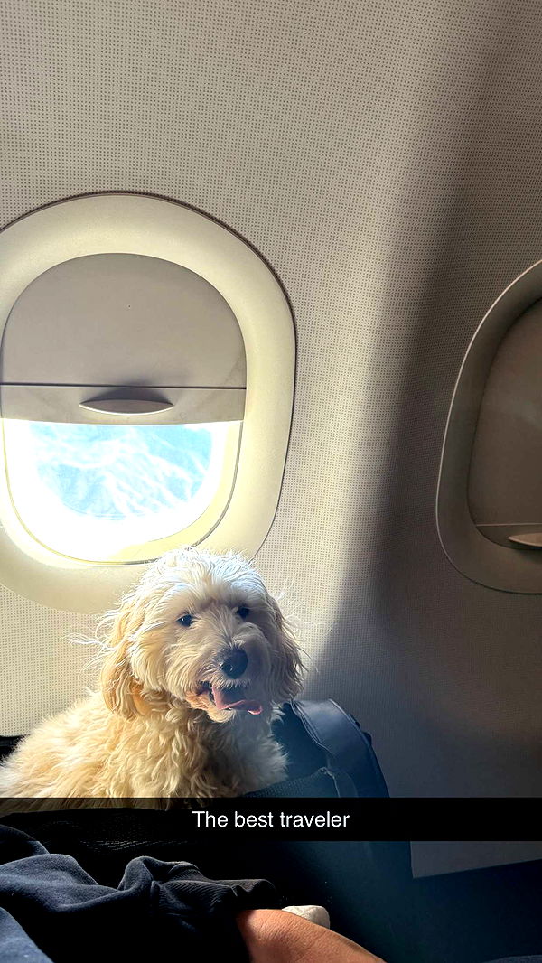 emilyelizabbeth image ~ Altpins