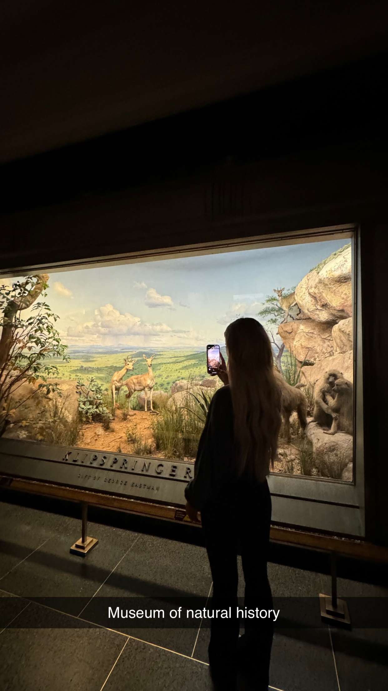 emilyelizabbeth snapchat image archive image