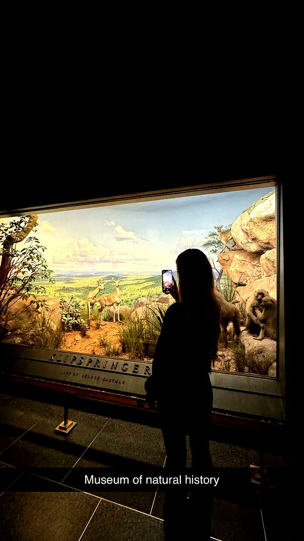 emilyelizabbeth image ~ Altpins