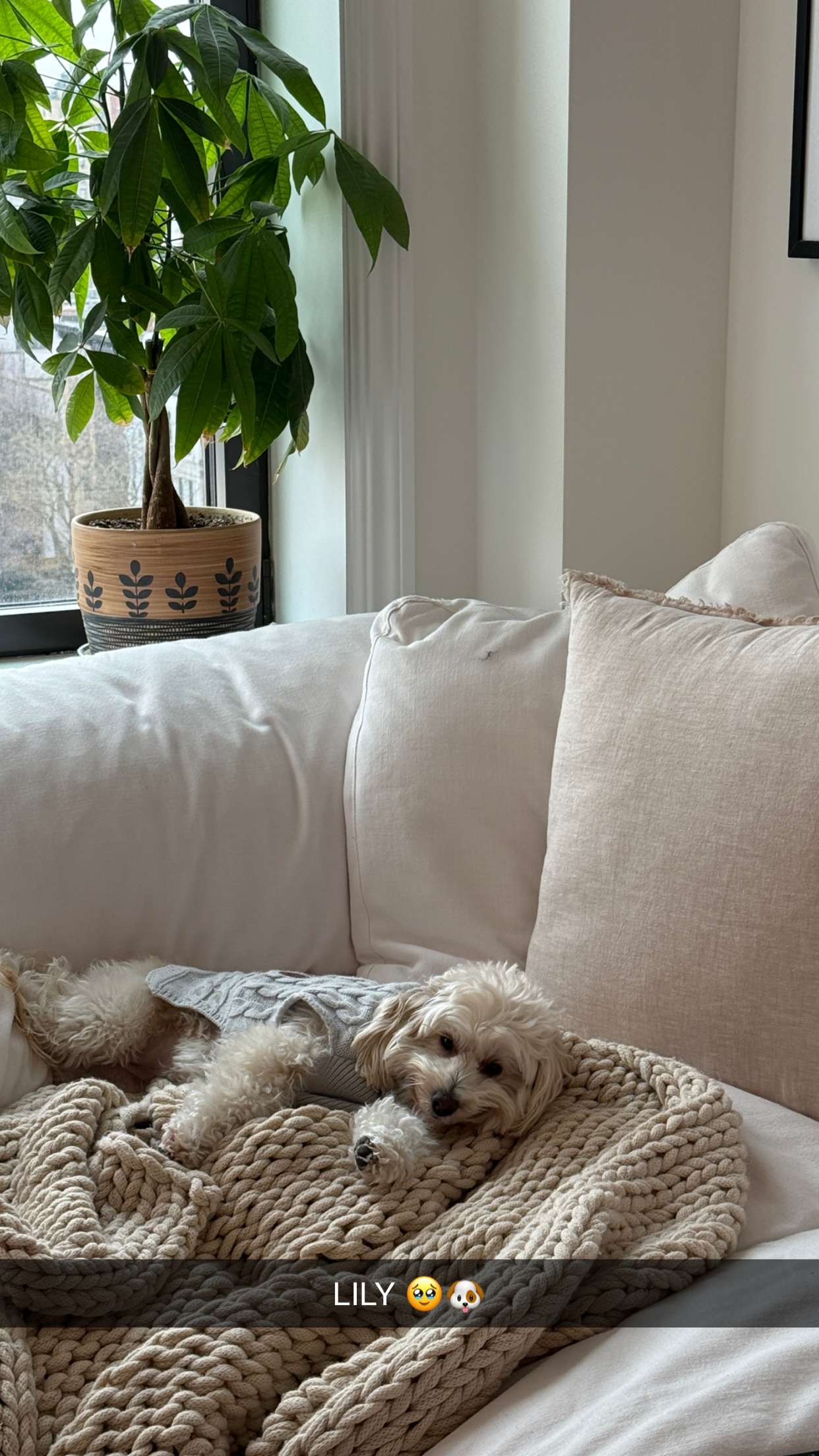 emilyelizabbeth snapchat image archive image