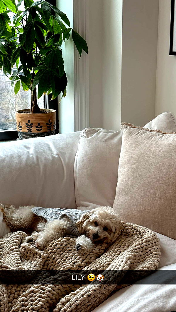 emilyelizabbeth image ~ Altpins