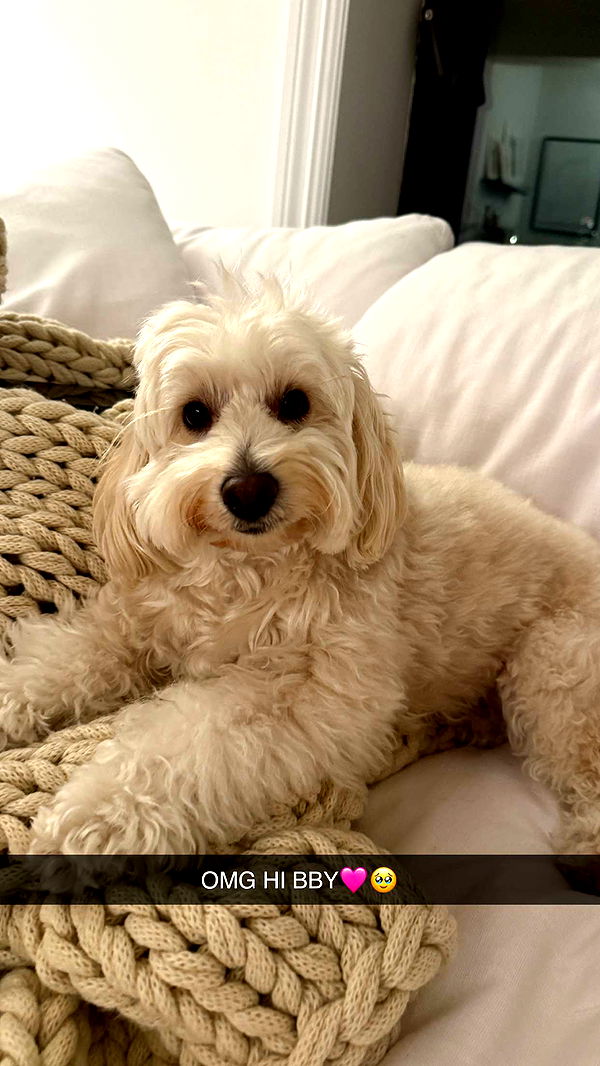 emilyelizabbeth image ~ Altpins