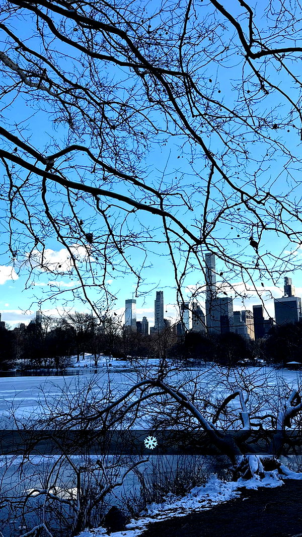 emilyelizabbeth image ~ Altpins