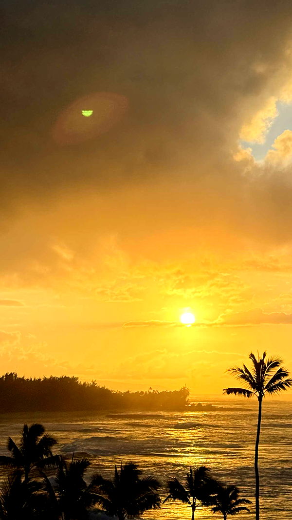 emilyelizabbeth image ~ Altpins