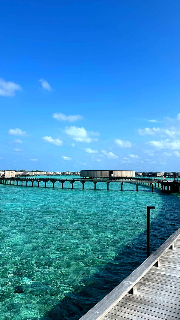 emilyelizabbeth image ~ Altpins