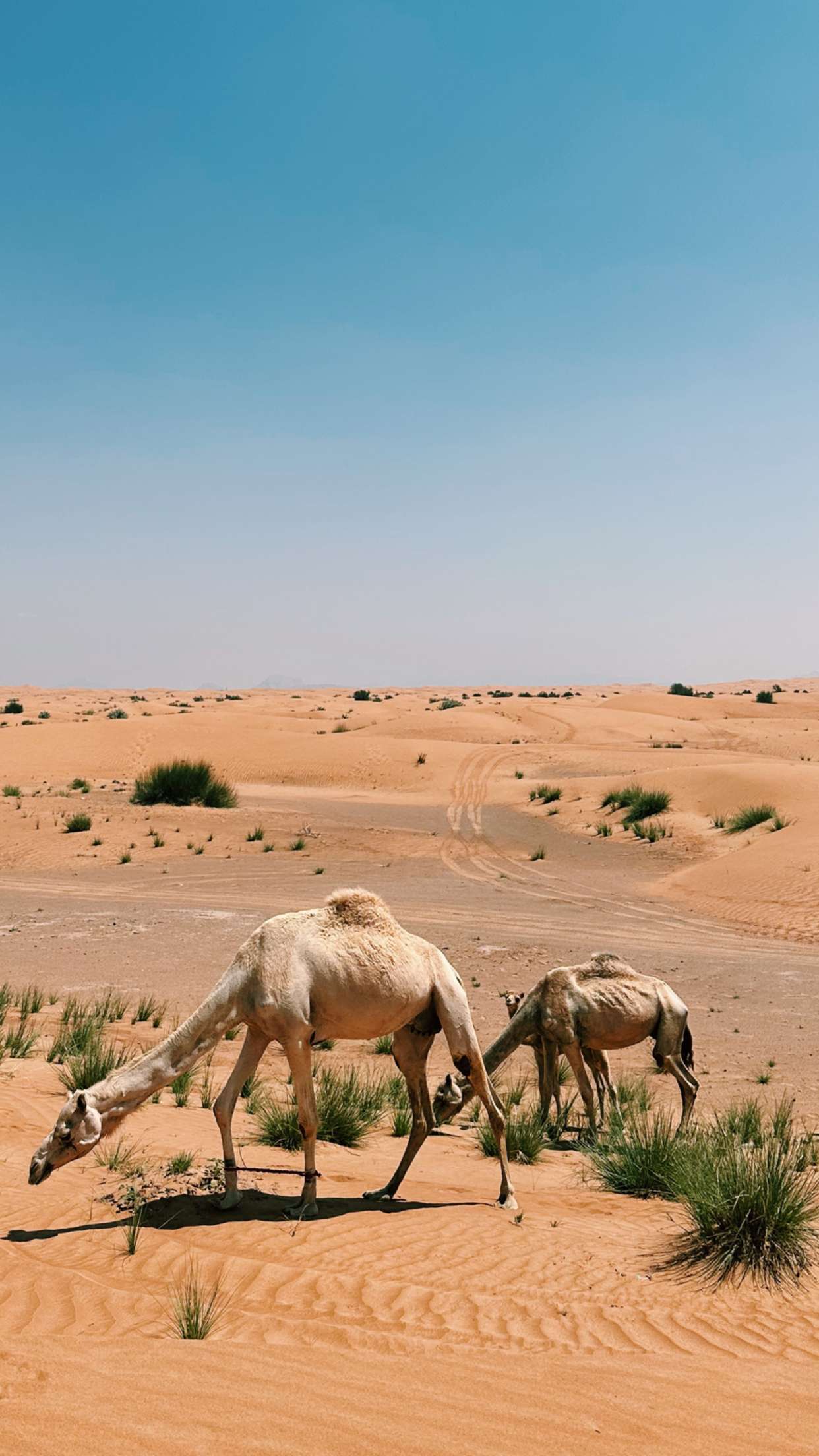 emilyelizabbeth snapchat image archive image