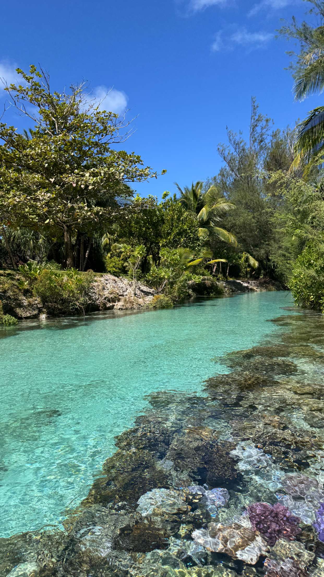 emilyelizabbeth snapchat image archive image