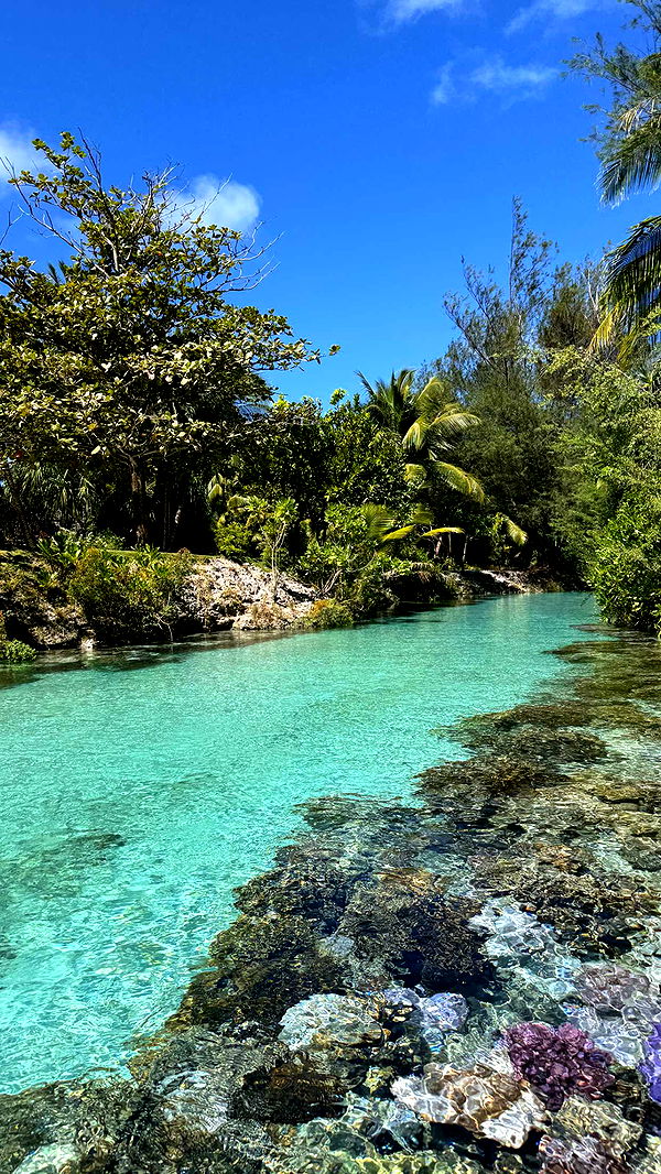 emilyelizabbeth image ~ Altpins