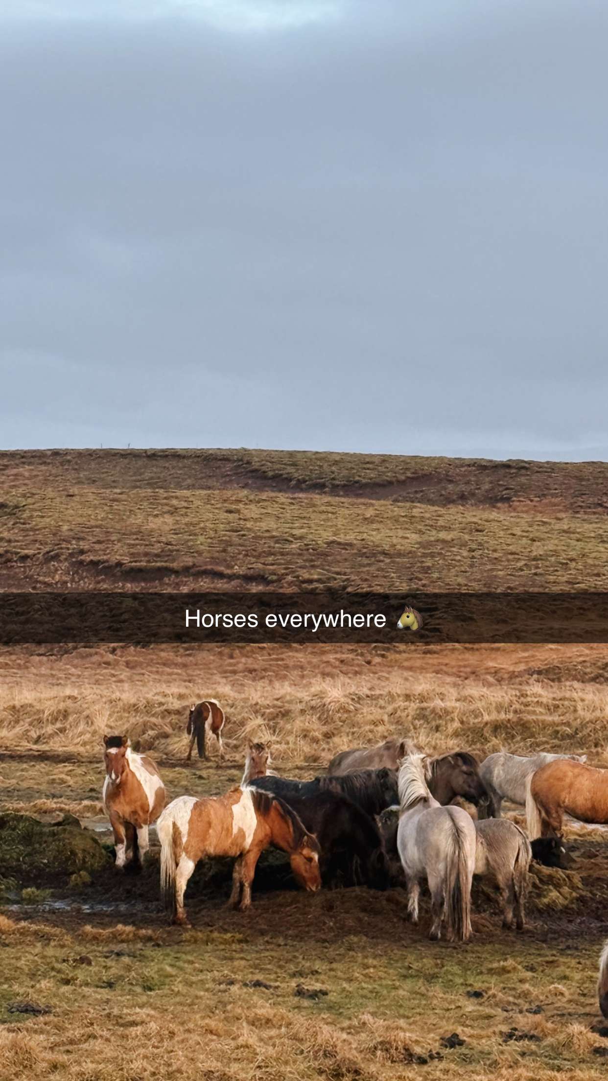 emilyelizabbeth snapchat image archive image