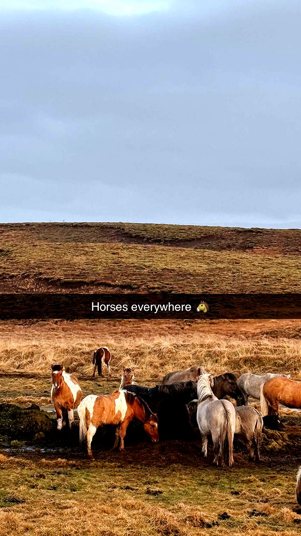 emilyelizabbeth image ~ Altpins