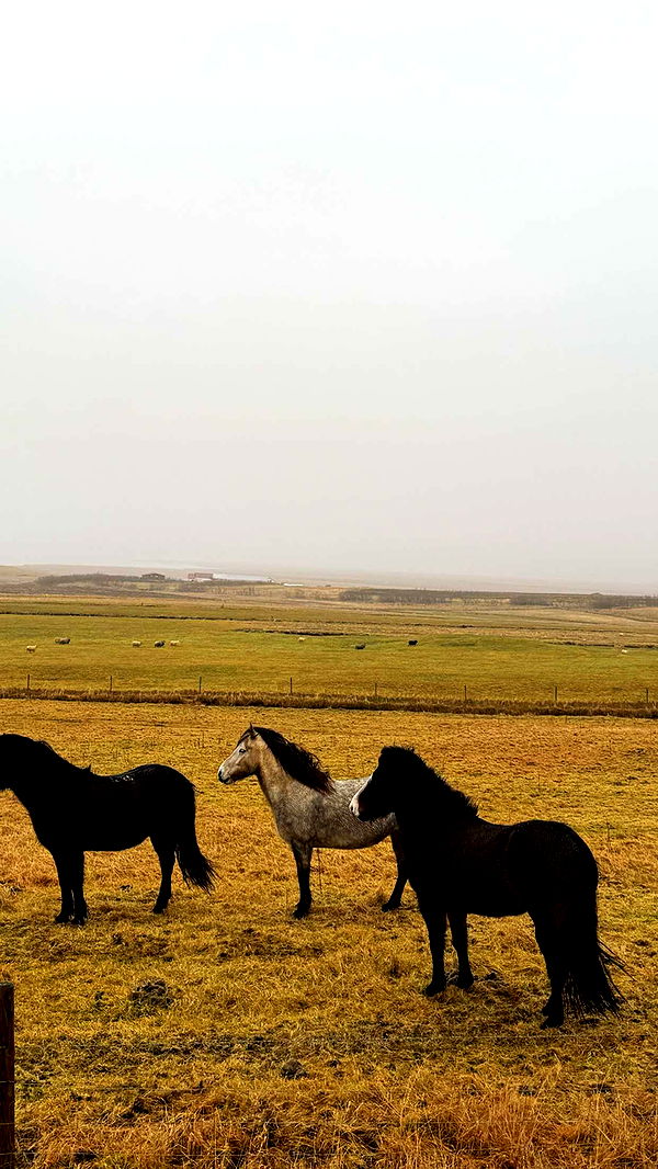 emilyelizabbeth image ~ Altpins