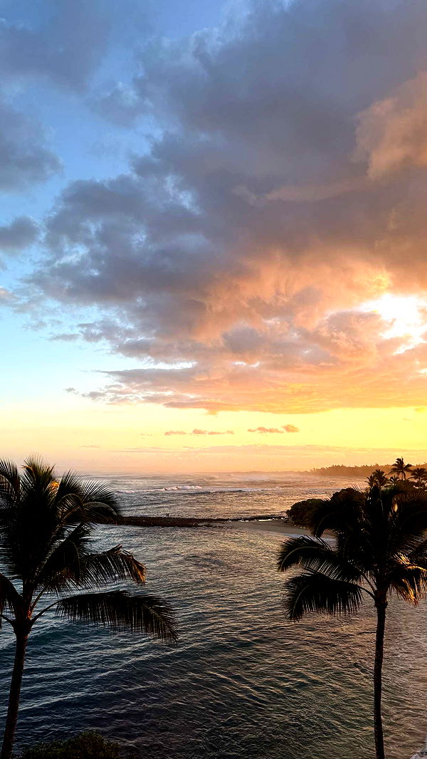 emilyelizabbeth image ~ Altpins