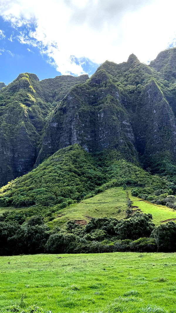 emilyelizabbeth image ~ Altpins