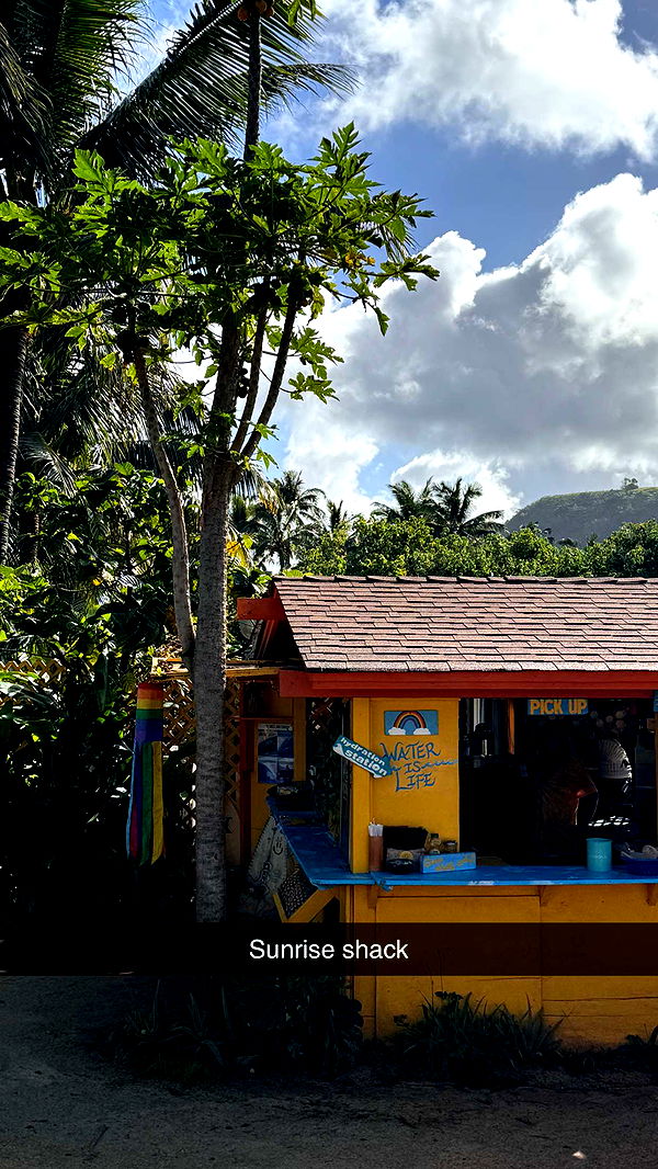 emilyelizabbeth image ~ Altpins