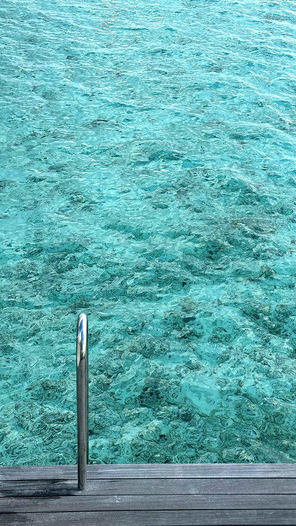 emilyelizabbeth image ~ Altpins