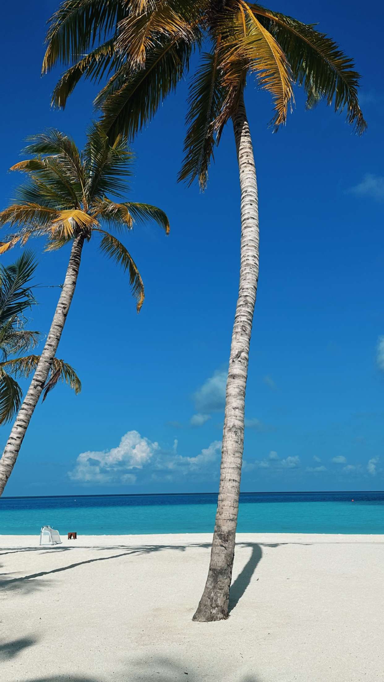 emilyelizabbeth snapchat image archive image