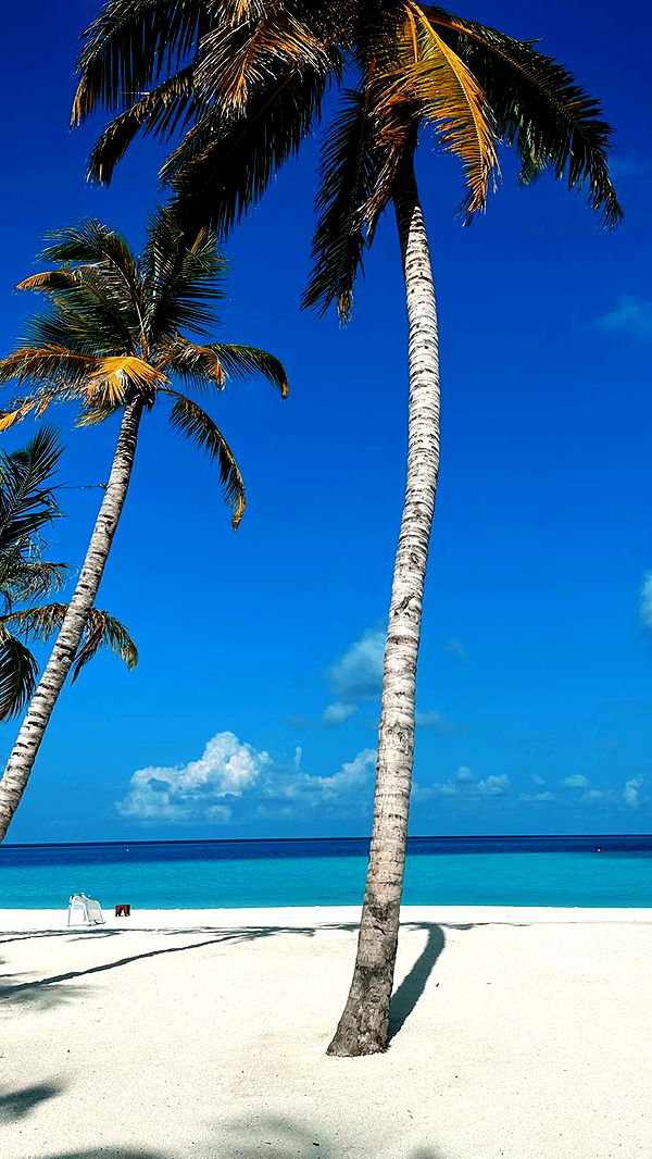 emilyelizabbeth image ~ Altpins