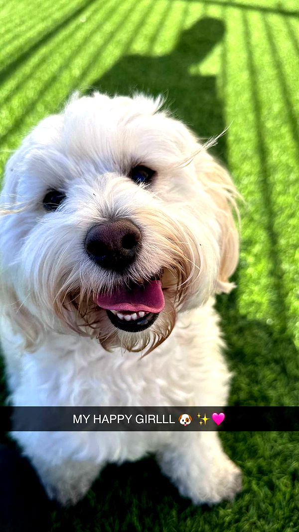 emilyelizabbeth image ~ Altpins