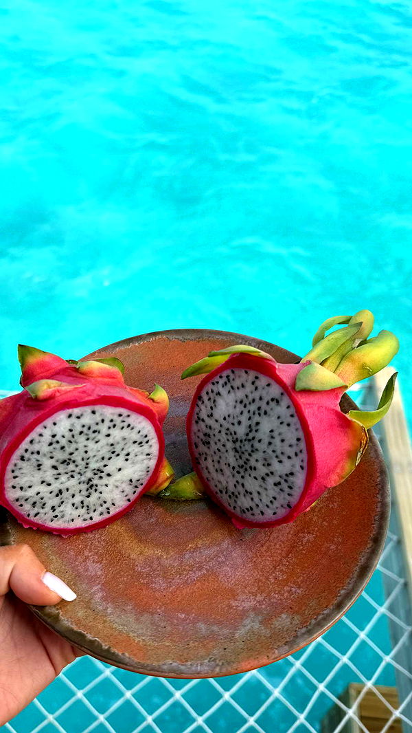 emilyelizabbeth image ~ Altpins