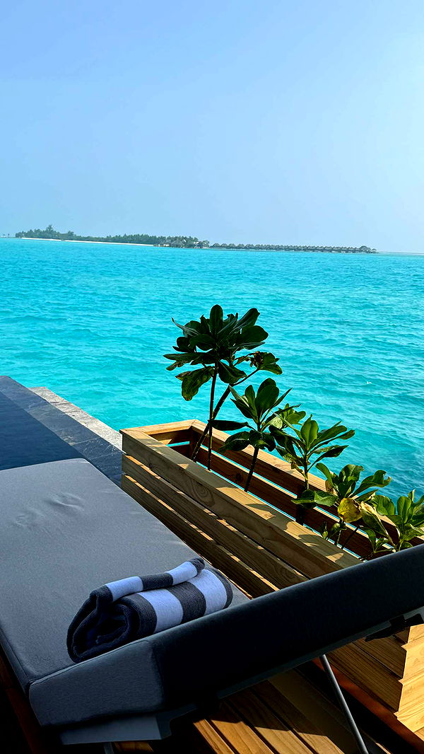 emilyelizabbeth image ~ Altpins