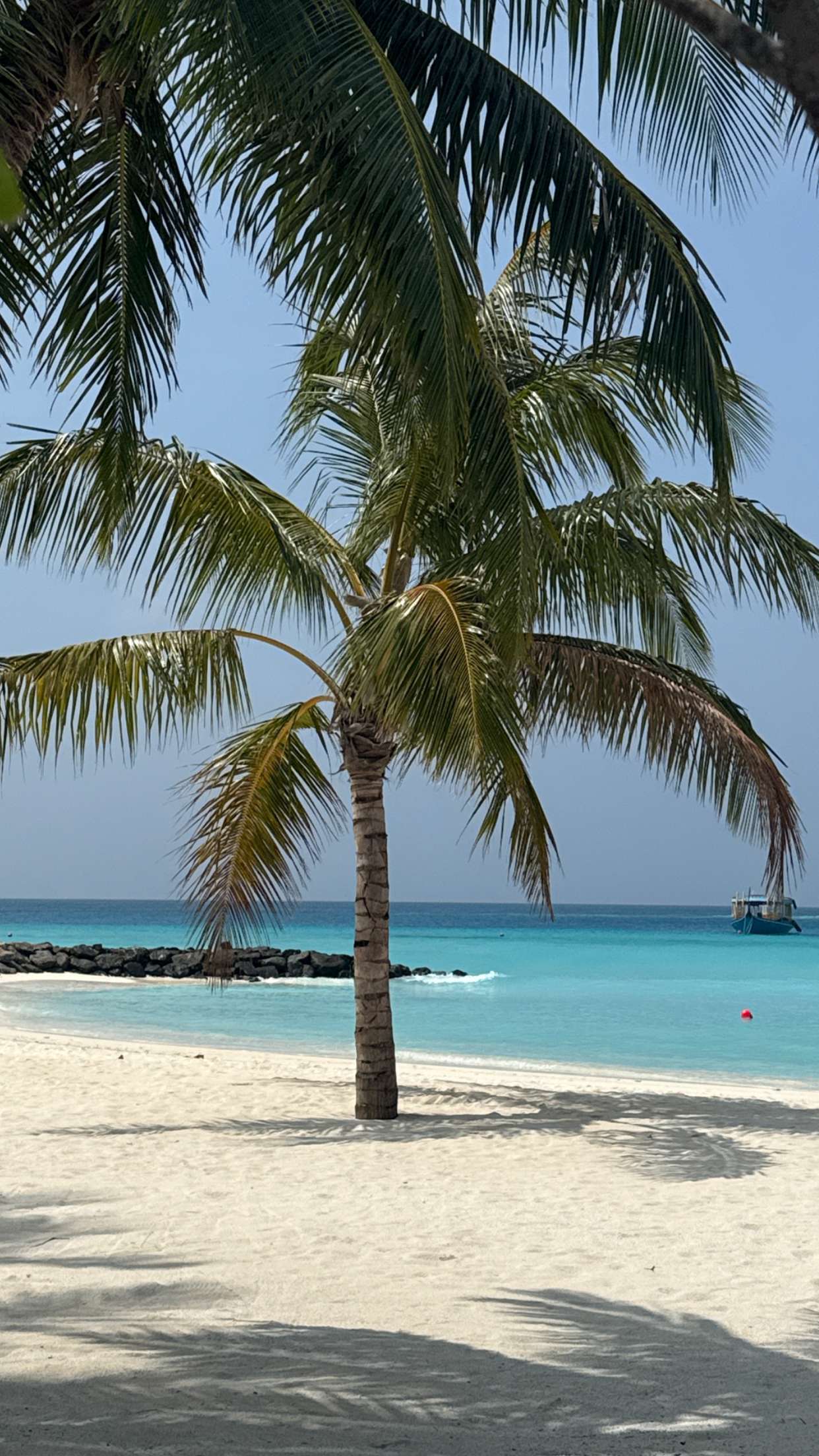 emilyelizabbeth snapchat image archive image