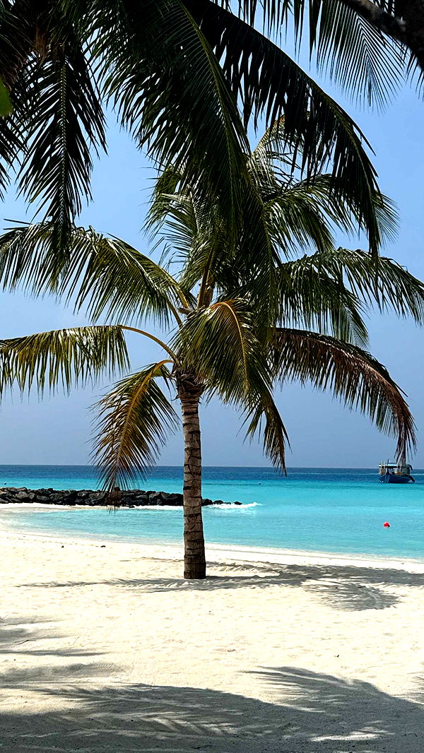 emilyelizabbeth image ~ Altpins