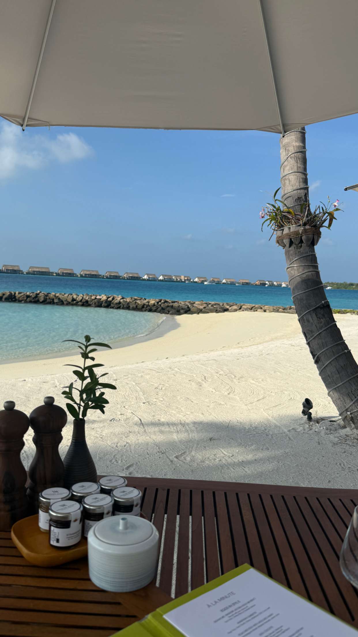 emilyelizabbeth snapchat image archive image