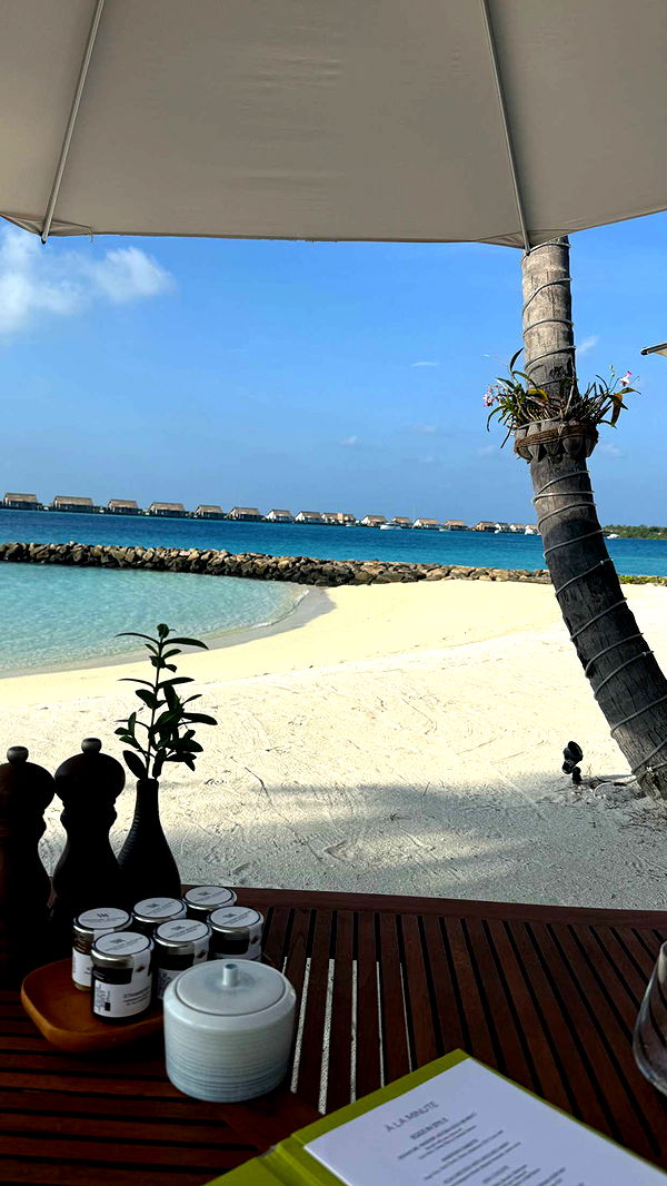 emilyelizabbeth image ~ Altpins