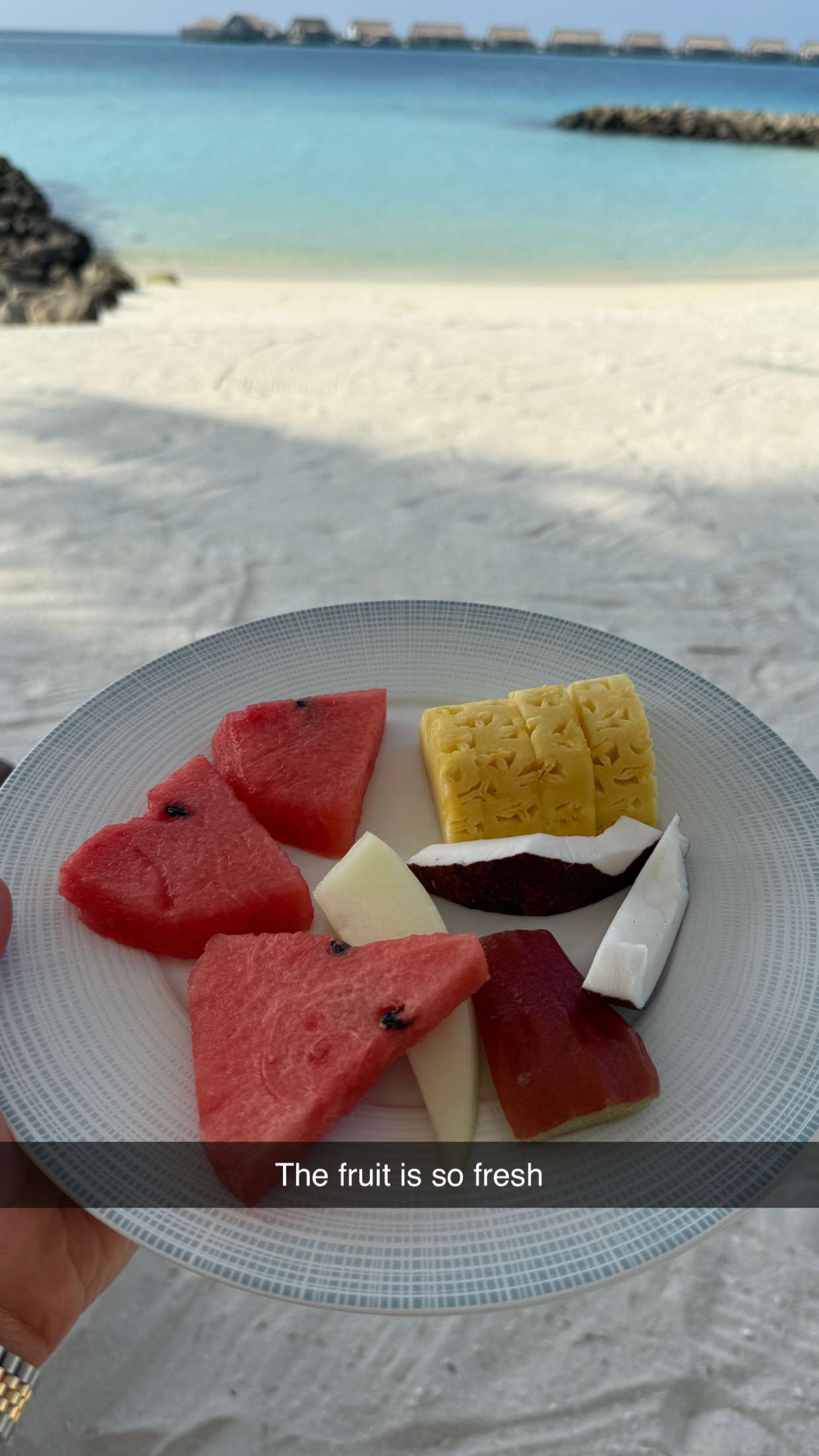 emilyelizabbeth snapchat image archive image