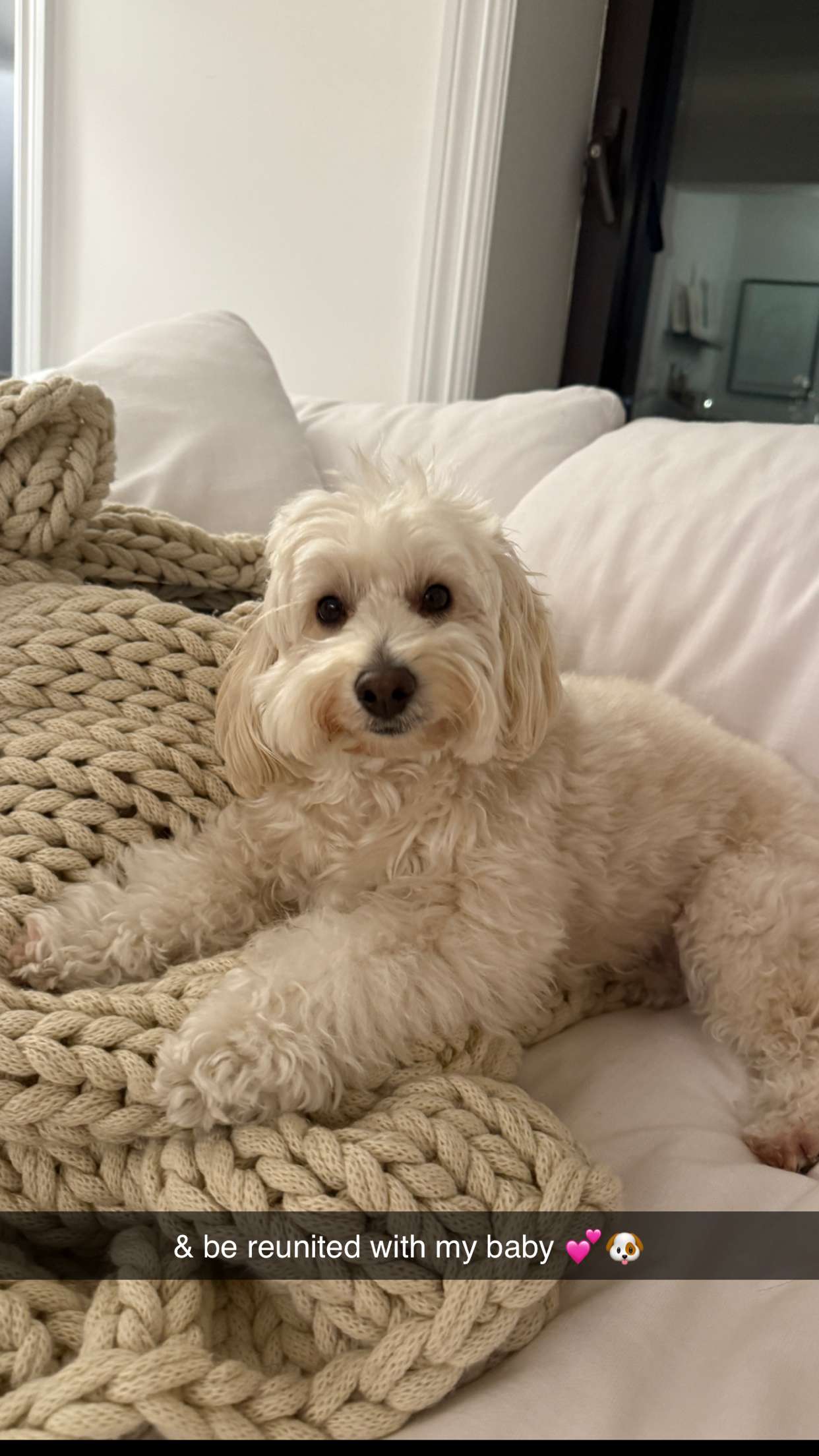 emilyelizabbeth snapchat image archive image