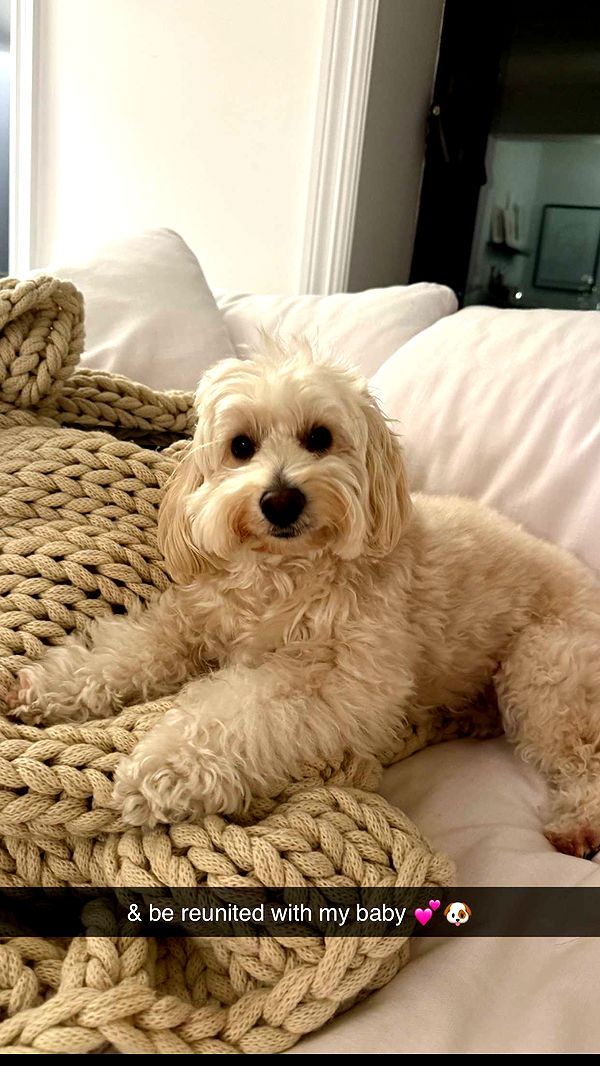 emilyelizabbeth image ~ Altpins