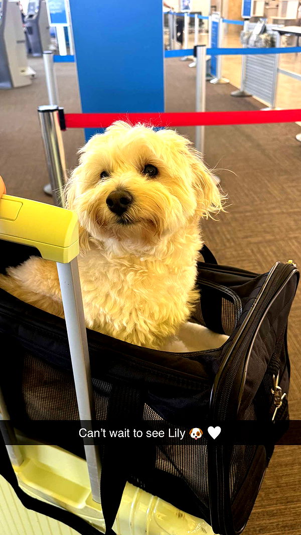 emilyelizabbeth image ~ Altpins