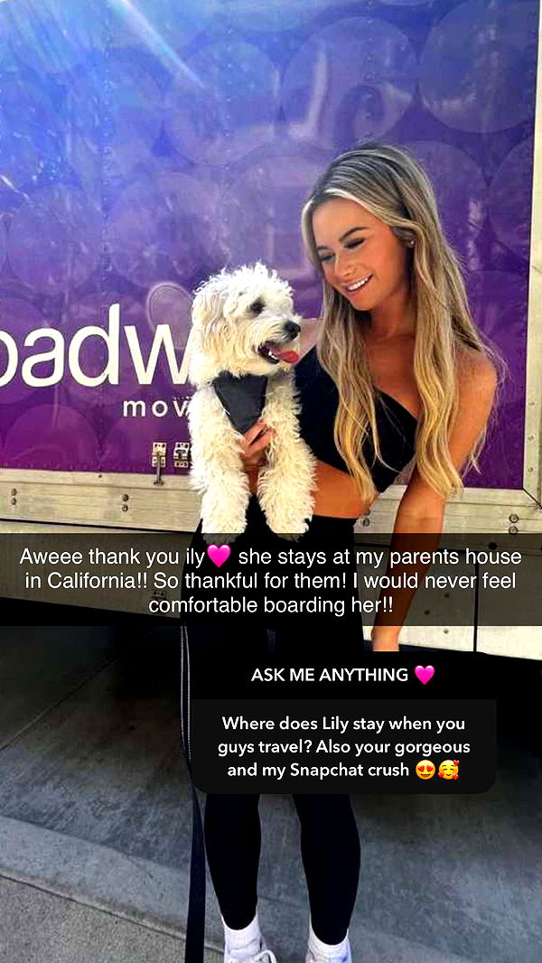 emilyelizabbeth image ~ Altpins