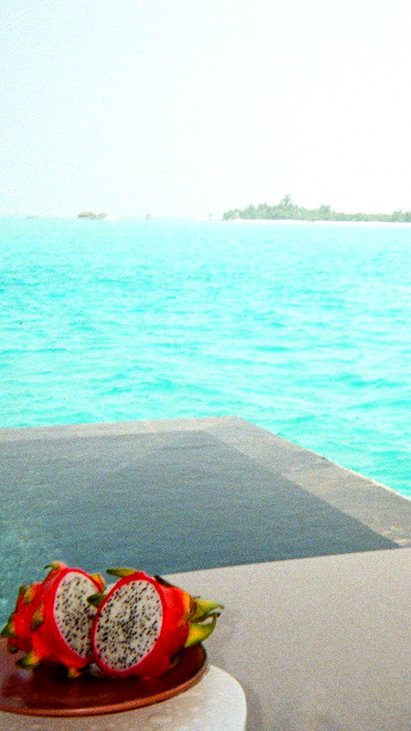 emilyelizabbeth image ~ Altpins